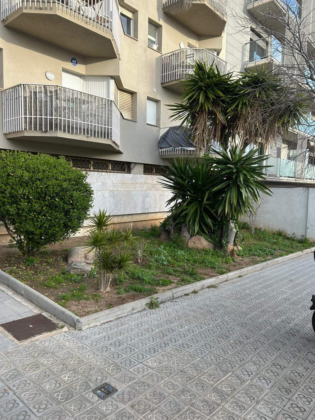 Parterre - Antes