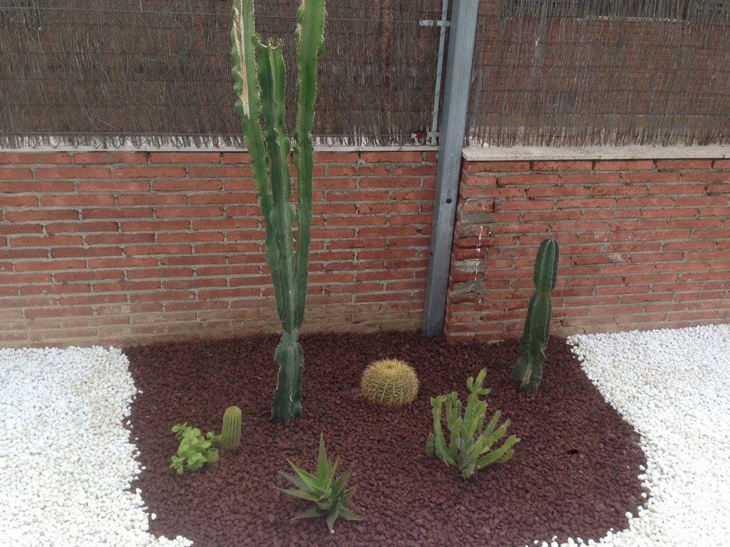 Jardín mediterráneo con cactus